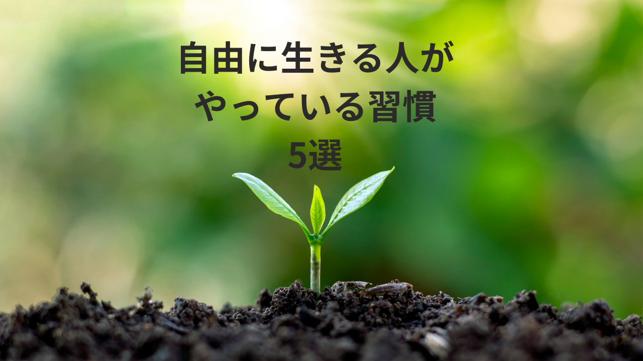 自由に生きる人がやっている習慣5選